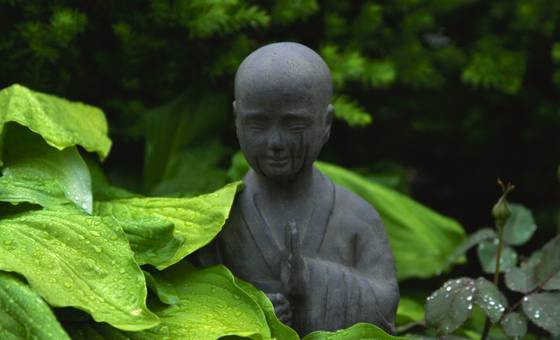 A statue of the buddha in a garden